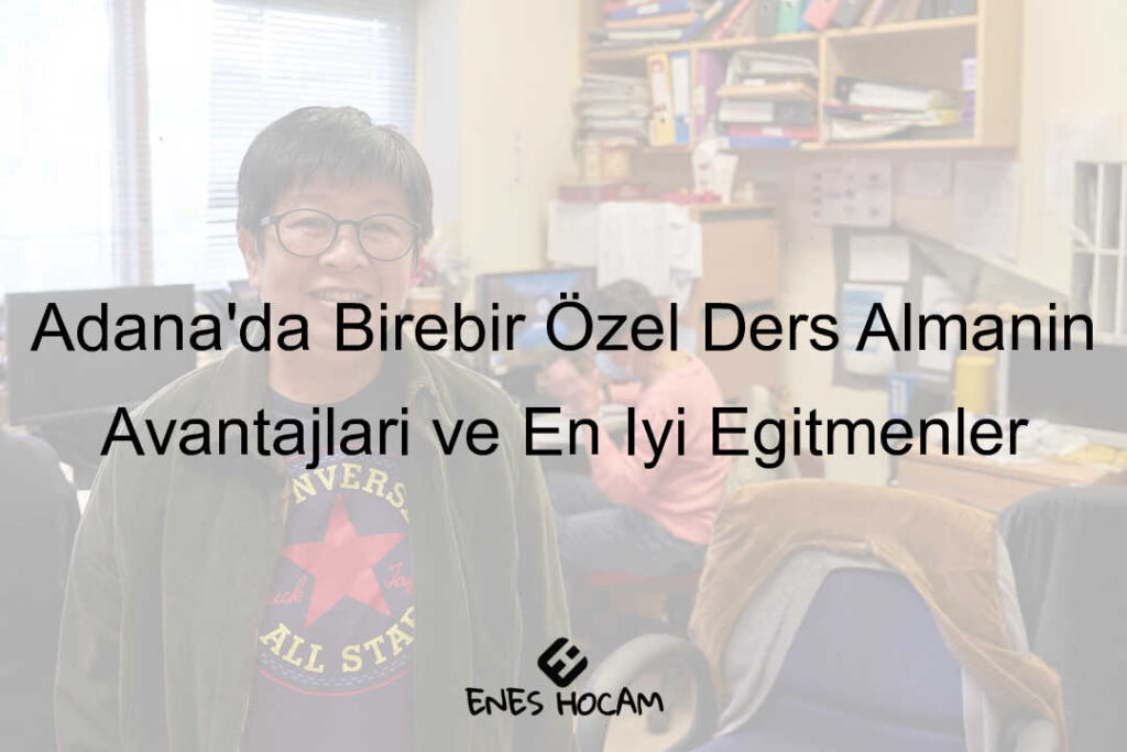 Adana birebir özel ders verenler