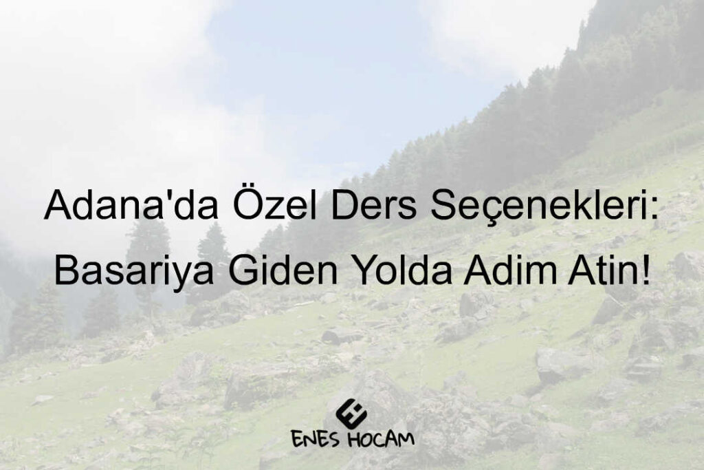 Adana özel ders imkanları