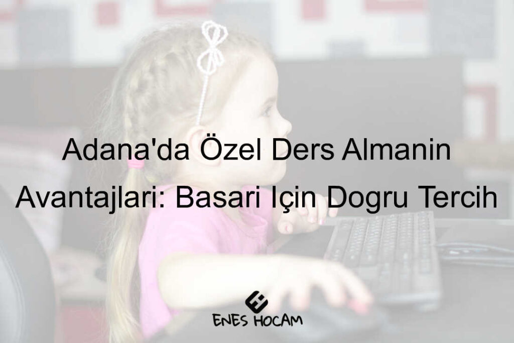 Adana özel ders verenler