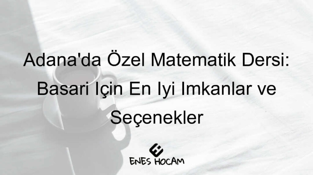 Adana özel matematik dersi imkanları