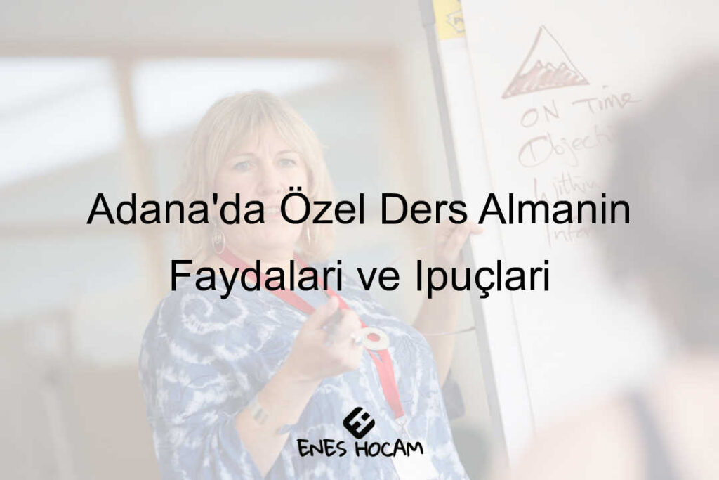 adana özel ders